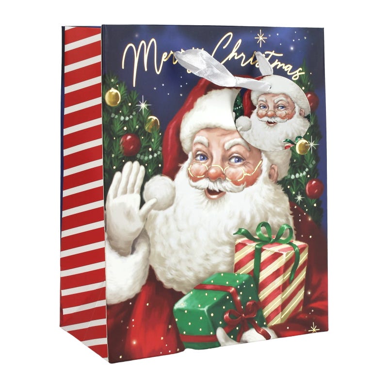 Traditional Father Christmas Paper Gift Bag 22.5cm