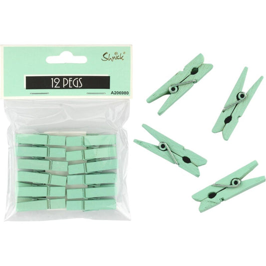 Mint Green Mini Wooden Pegs (Pack of 12)