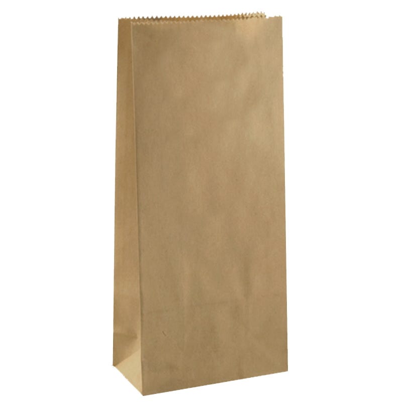 Brown Kraft Paper Treat Bags 21cm x 9cm x 6cm (Pack of 6)