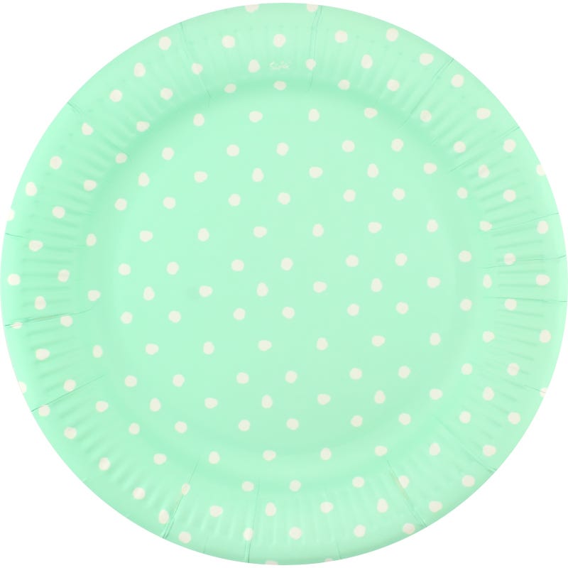 Pastel Mint and White Dot Large Paper Plates (Pack of 12)