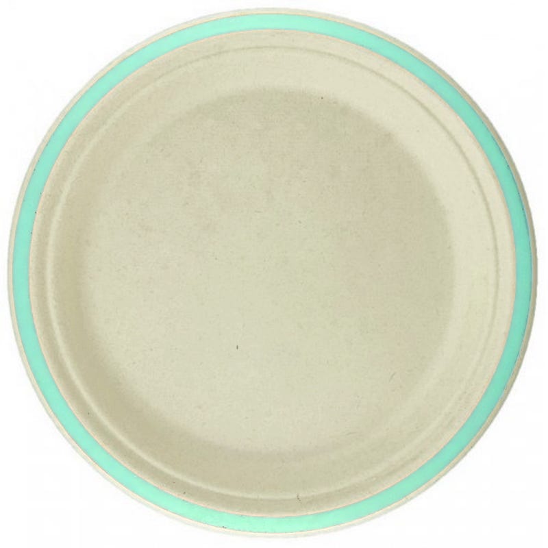 Mint Rim Sugar Cane Large Plates (Pack of 10)