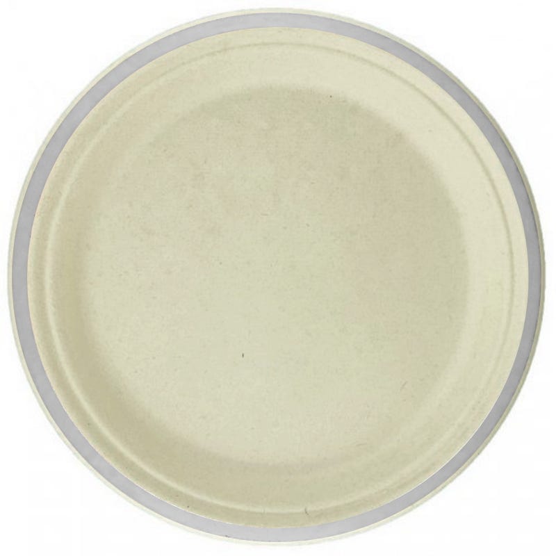 Silver Rim Sugar Cane Large Plates (Pack of 10)