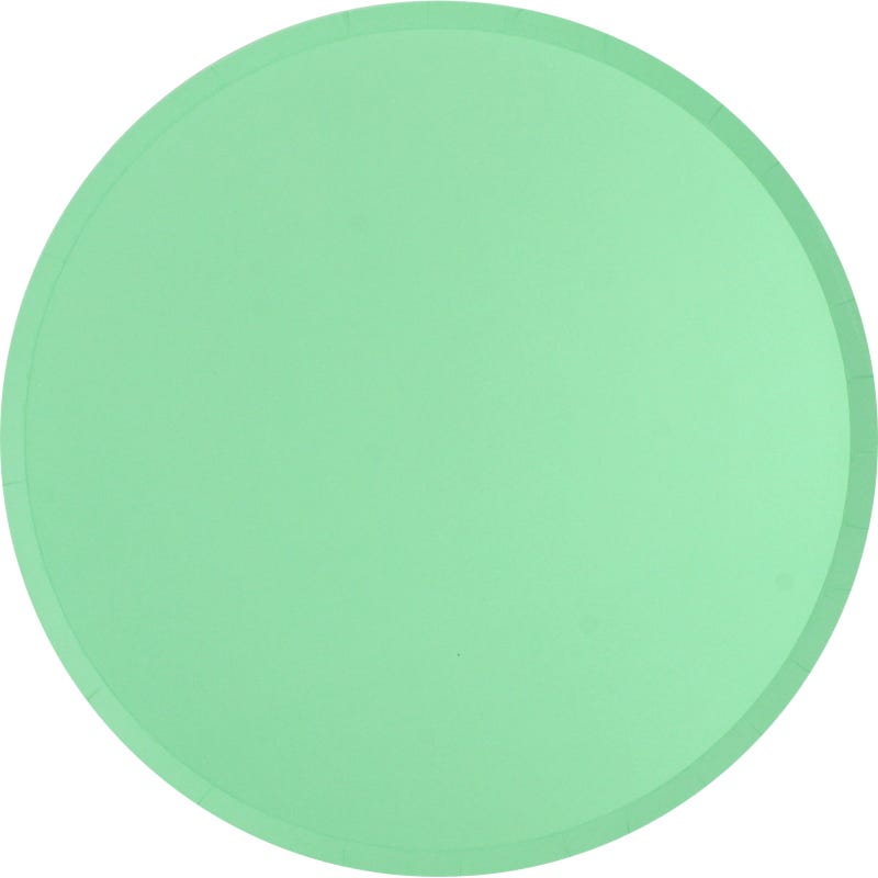 Neon Mint Large Paper Plates (Pack of 12)