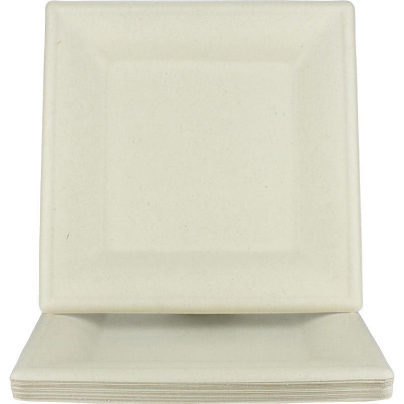 Eco Biodegradable Large Square Plates (Pack of 20)