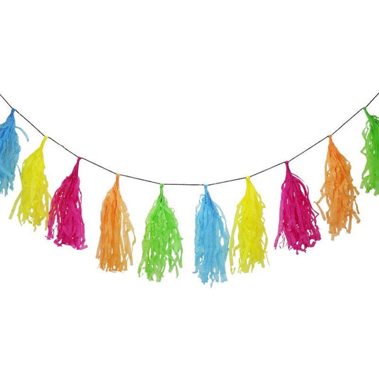 Pink, Orange, Green, Yellow & Blue Paper Tassel Garland