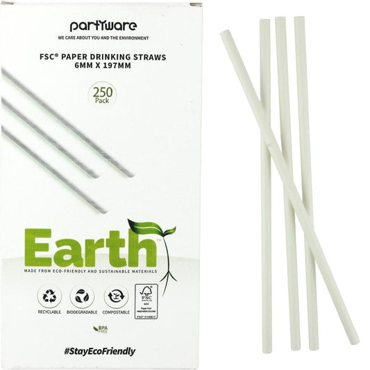 Earth Eco White Paper Straws (Box of 250)