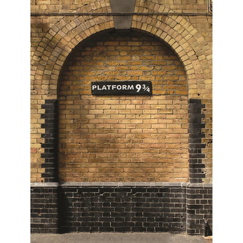 Platform 9 3/4 Fabric Backdrop