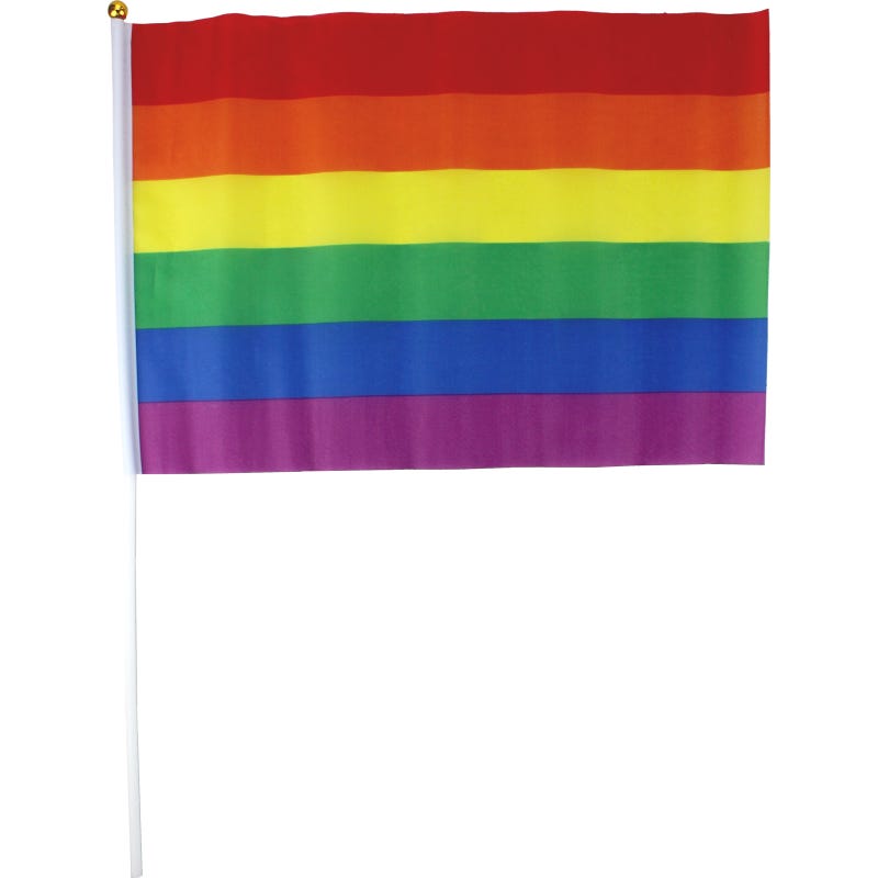 Rainbow Handheld Flag 30cm x 43cm