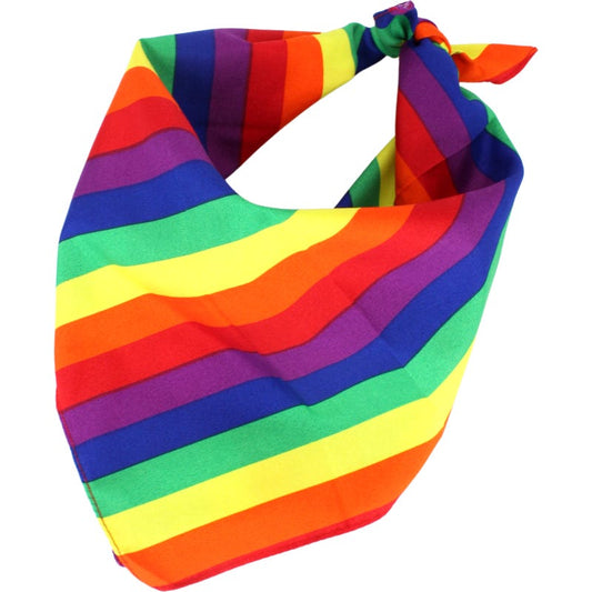 Rainbow Stripe Bandana 56cm