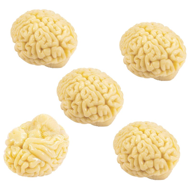 Squishy Rubber Brains (Pack of 12)